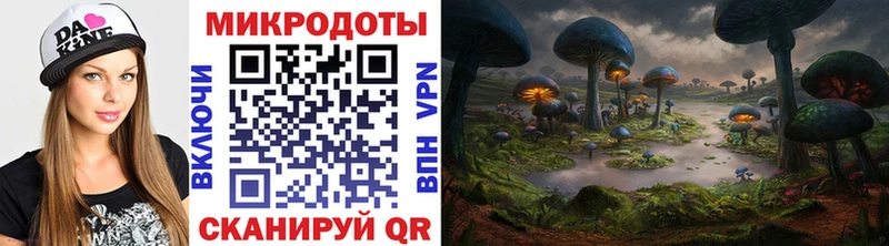 Купить  Волгореченск  Псилоцибиновые грибы Magic Shrooms 
